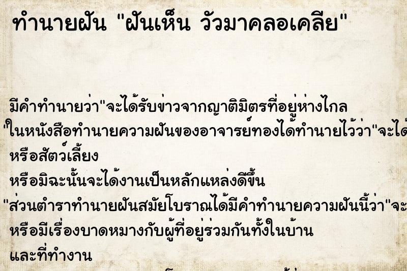 ทำนายฝันฝันเห็นวัวมาคลอเคลีย ทำนายฝันทำนายฝันฝันเห็นวัวมาคลอเคลีย